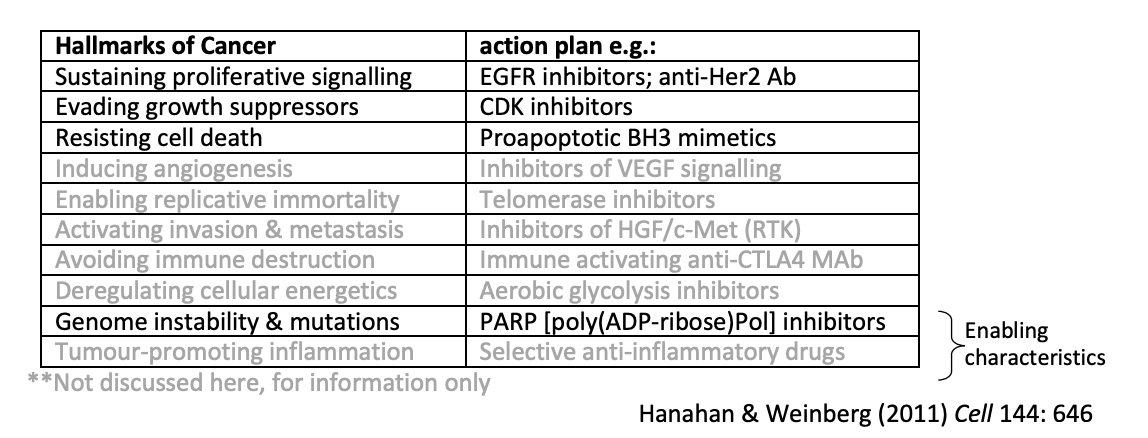 <ul><li><p>Look at individual hallmarks of cancer</p><ul><li><p>holistic view</p></li></ul></li><li><p>see what they affect</p></li><li><p>form a drug/action plan which can target these specific things</p></li></ul><p></p>
