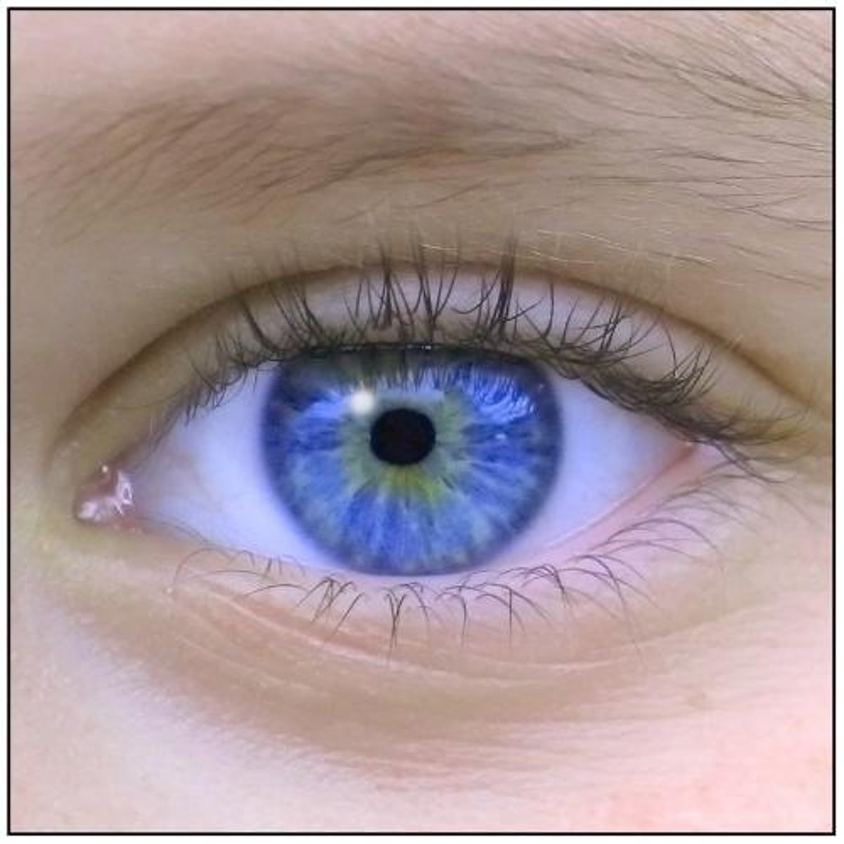 <p>das Auge</p>