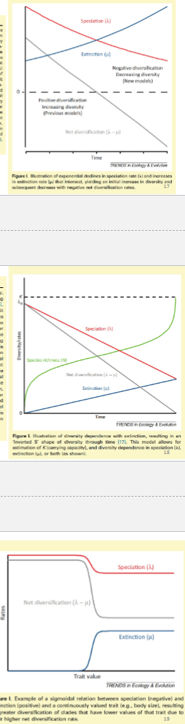 <p>(2002) suggest that a decrease in the amount of exposed sedimentary rock might</p><p>introduce a bias in estimates of extinction rates. Finally, David Jablonski (2001)</p><p>suggested that the overall decline in origination and extinction rates might result</p><p>from a tendancy of clades with intrinsically high rates of both processes to go ex-</p><p>tinct during crises, whereas less volatile clades persist.</p><p></p><p>We can observe <strong>origination</strong> by identifying the <strong>first appearance</strong> of a species in the fossil record and <strong>extinction</strong> by noting its <strong>last appearance</strong>. Phylogenetic trees complement this by showing branching points (speciation events) and gaps where lineages end, helping us track how and when lineages arose or disappeared over time—even when the fossil record is incomplete.</p>
