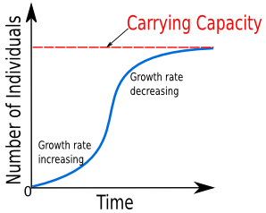 logistic growth model 