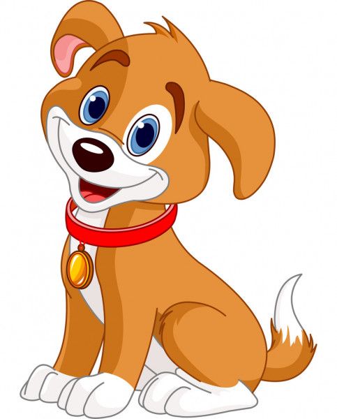 <p>dog</p>