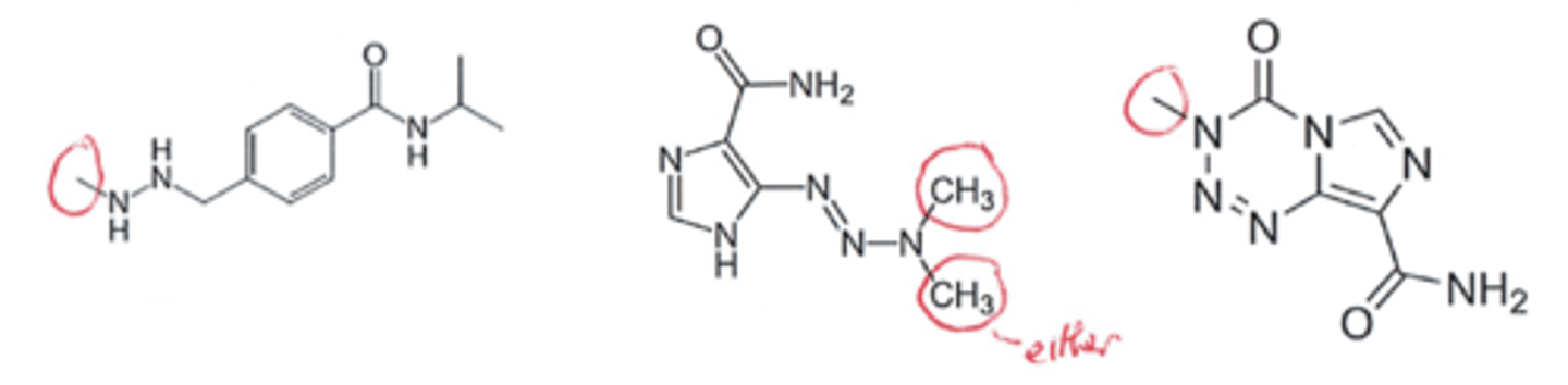 <p>Highlighted is the likely methyl- groups that will methylate DNA molecules</p>