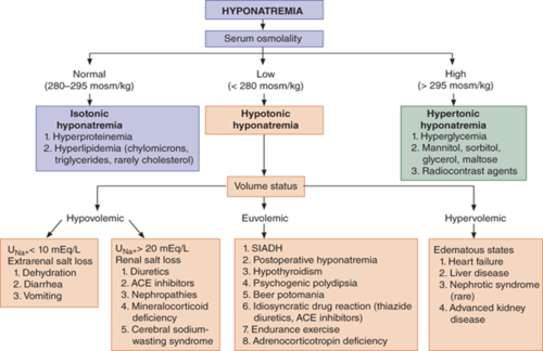 -*hyperglycemia*
-mannitol administration
-these cause shift of H2O from the ICF to the ECF and lowers serum Na+ concentration