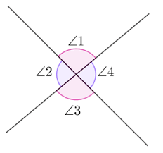 <p>Vertical Angle theorem</p>