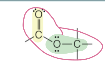 <p>carbonyl attached to oxygen within the backbone</p><p>RC(O)OR’</p>