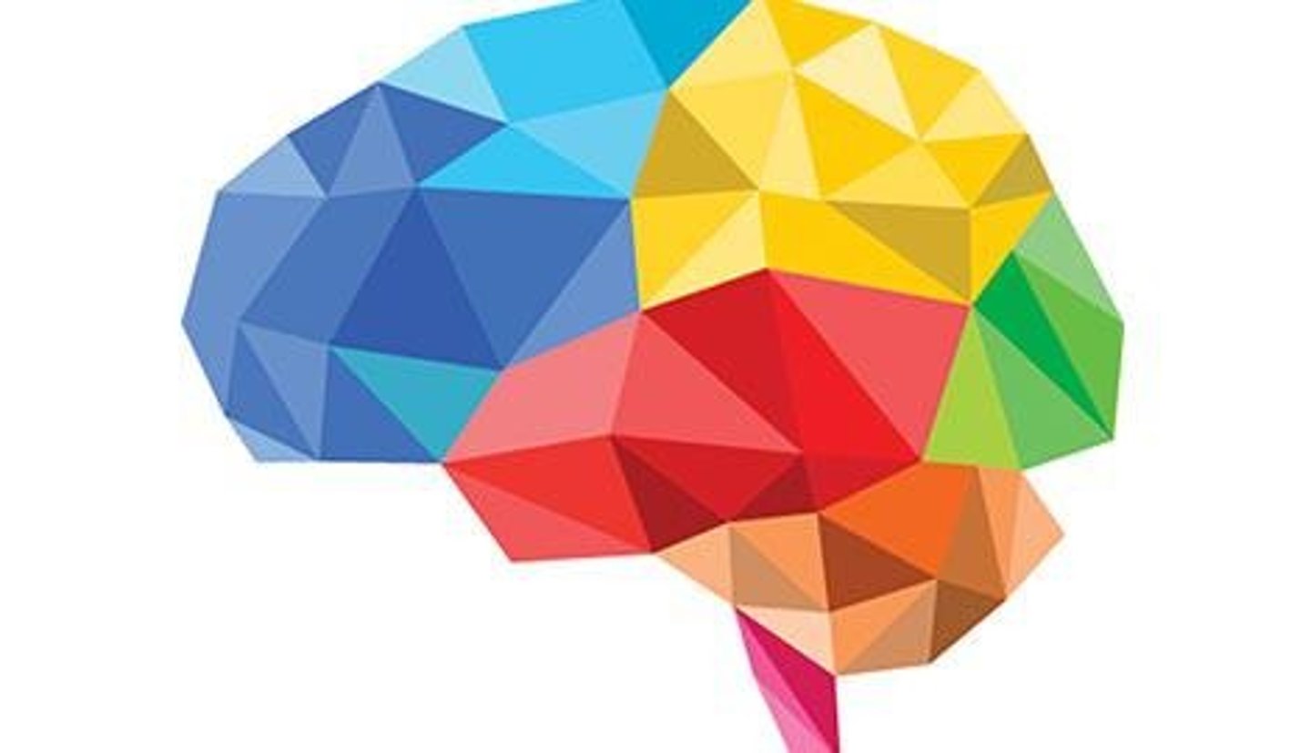 <p>- changes are typically mild</p><p>` link between physical health conditions (diabetes, hypertension, hypercholesterolemia)</p><p>` can reduce cognitive decline with healthy lifestyle choices</p><p>` can improve with cognitive training</p>