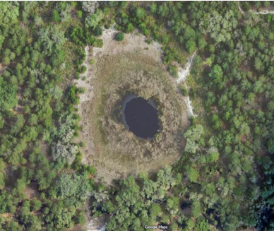 <p><span><span>Usually rounded depression in sand substrate, but often containing peat in deepest layer</span></span></p><p><span><span>Often found in landscapes occupied by fire, such as mesic flatwood and sandhills.</span></span></p><p><span><span>Creates concentric ring in depression with varying grades each containing different flora</span></span></p>