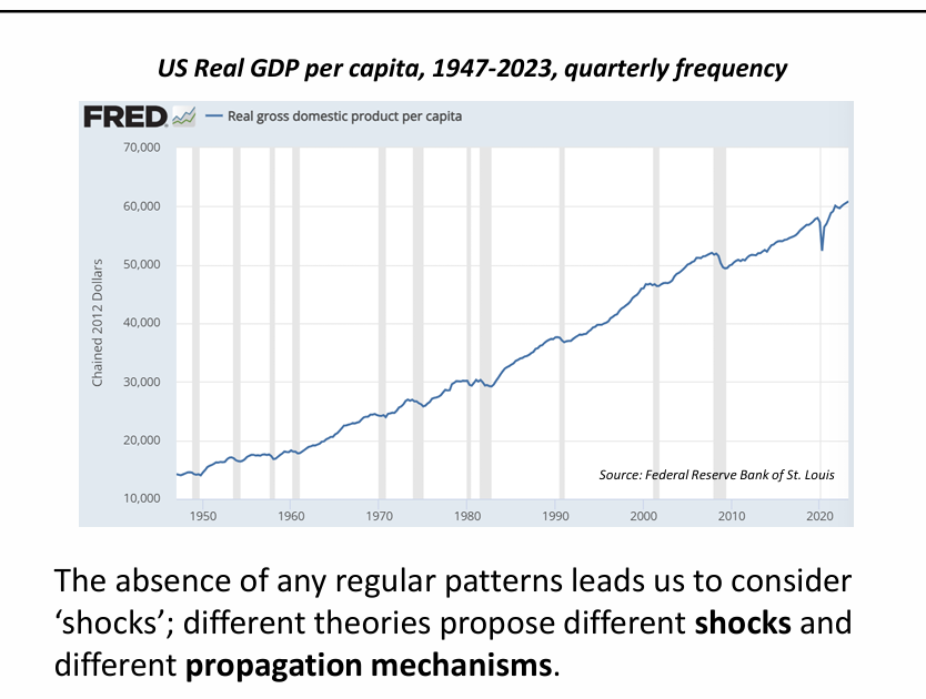<p>What is the overall direction of the Real GDP per capita line in the graph?</p>