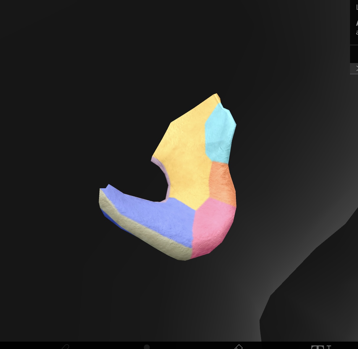 <p>A bony projection on the ischium that serves as an attachment point for ligaments and muscles, contributing to the pelvic structure. </p>