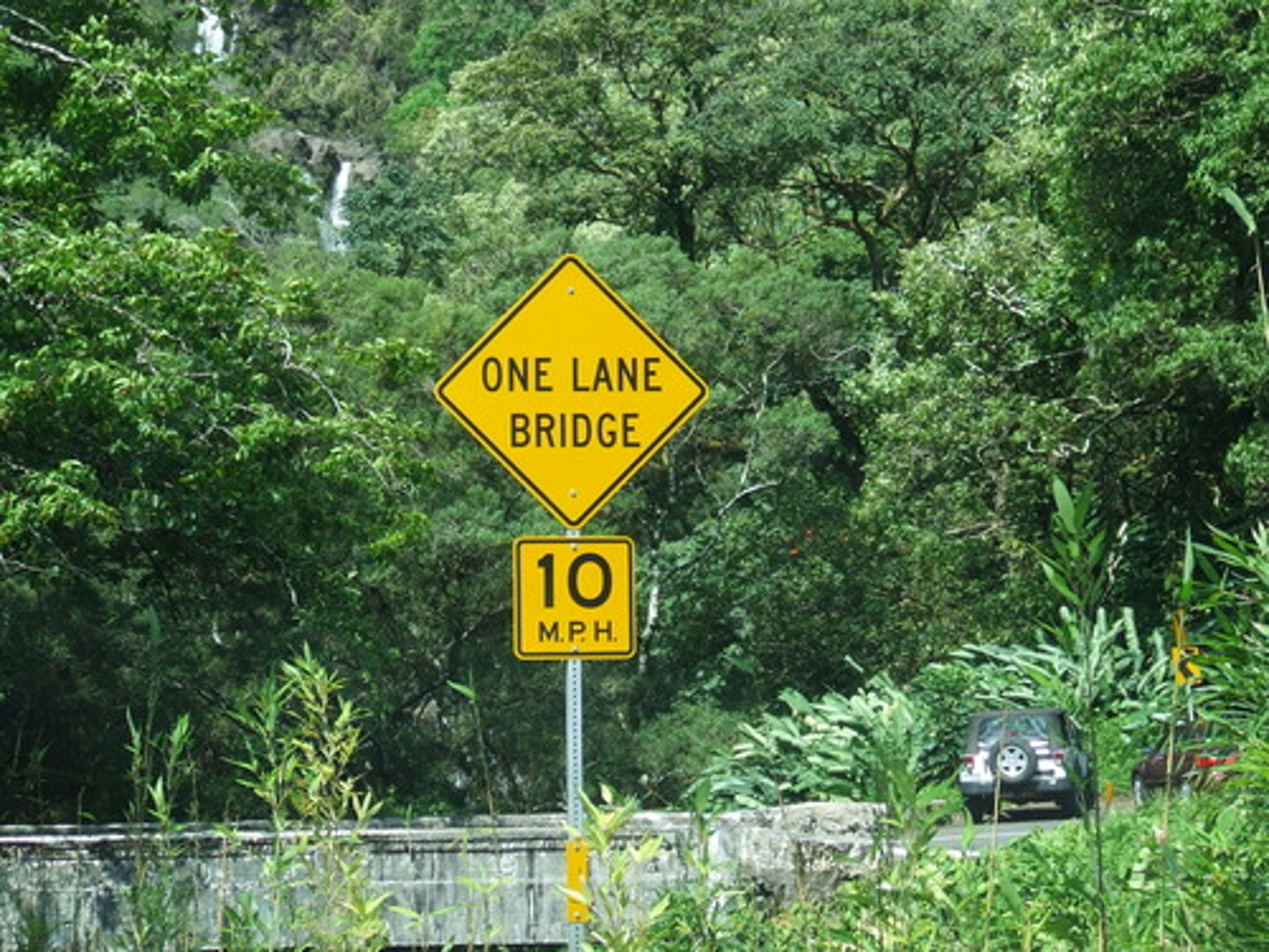 <p>Advisory</p>