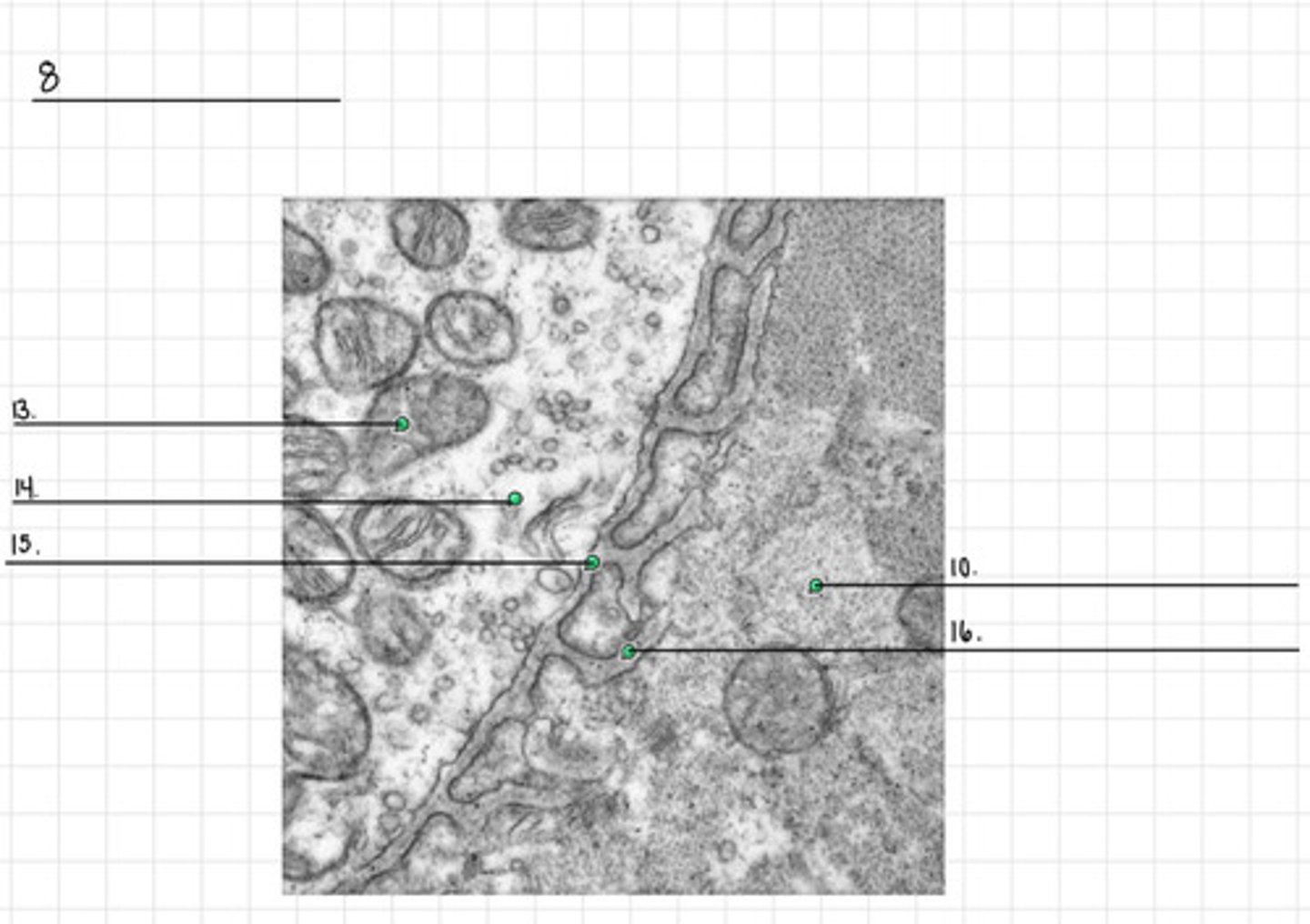 <p>15</p>