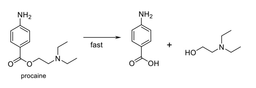 <p>Name Enzyme</p>