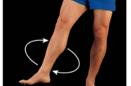 <p><span><span>Movement of the distal end of a part of the body in a circle. Angular. </span></span></p>