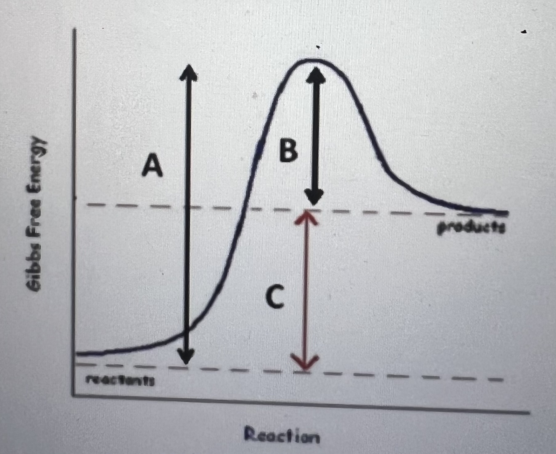 <p>The graph below illustrates the course of a chemical reactions as it progresses. What is TRUE regarding this reaction</p>