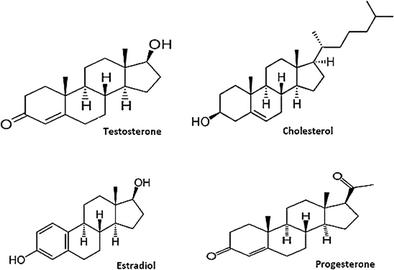 <ul><li><p><span style="color: blue"><strong>Estrogen</strong></span></p></li><li><p><span style="color: blue"><strong>Testosterone</strong></span></p></li></ul><p><sub>( remember in physiology we learned cholesterol is the basic building block for other steroids )</sub></p>