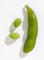 <p>fasulye</p>
