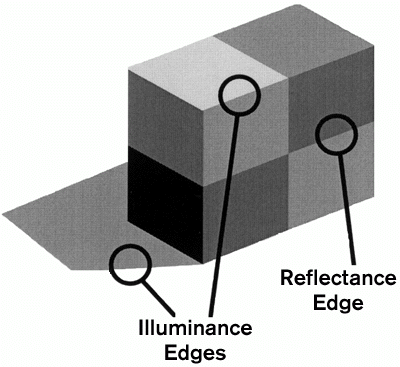 <p>A boundary / edge caused by a change in the reflectance properties / change in actual color of object</p><ul><li><p>that creates a visual contrast between two areas due to differing reflectance levels. </p></li></ul><p></p>