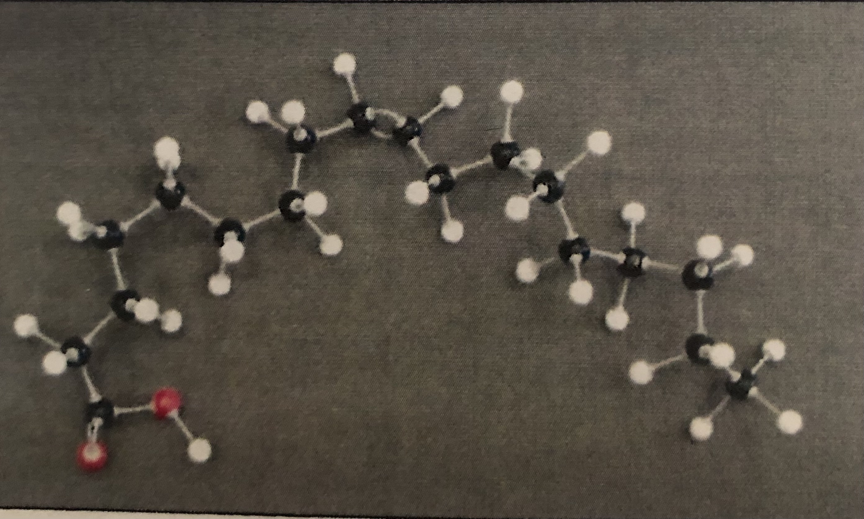 <p>Double bonded Carbon</p>