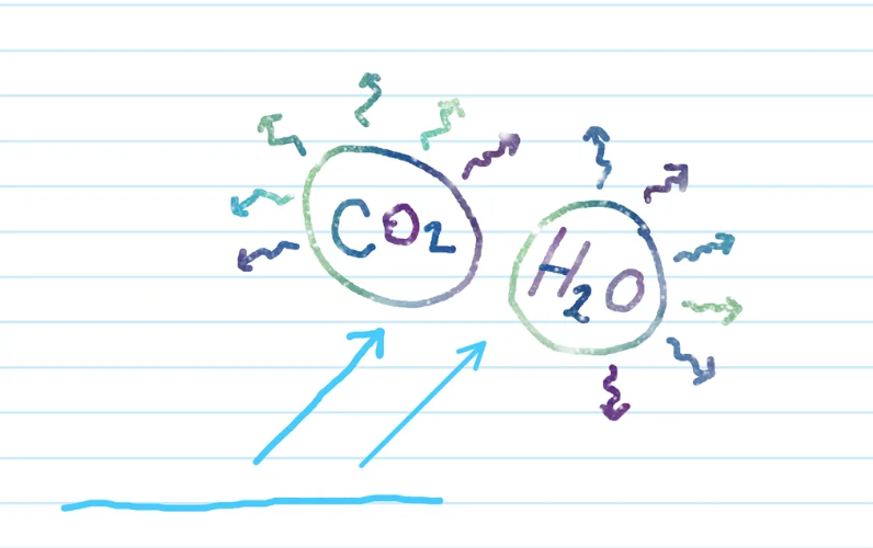 <ul><li><p>water vapour, carbon dioxide, and methane (greenhouse gases) <strong>absorb this longer-wavelength IR radiation</strong></p><ul><li><p>because is has the SAME FREQUENCY AS THE NATURAL FREQUENCY OF THEIR BONDS! </p></li></ul></li><li><p>the vibrating bonds in these molecules <strong>re-emit their energy as radiation </strong>that increases the temperature of the atmosphere → global warming! </p></li><li><p></p></li></ul><p></p>