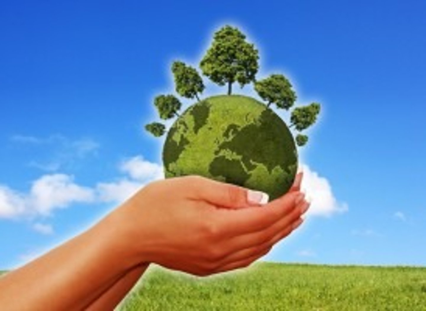 <p>L'écologie</p>