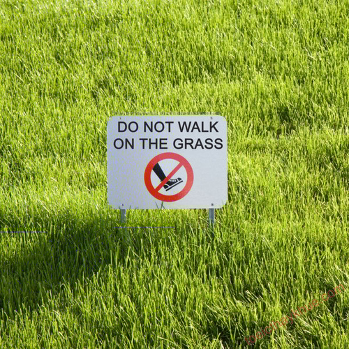 <p>Xin đừng đi trên cỏ.</p>