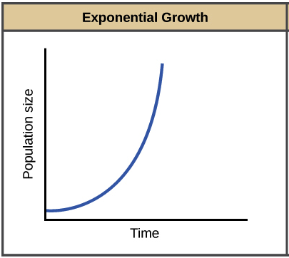 <p>there are constant, ideal resources that allows the population to grow exponentially continuously</p>