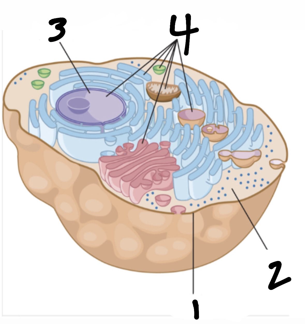 <p>What’s 2?</p>