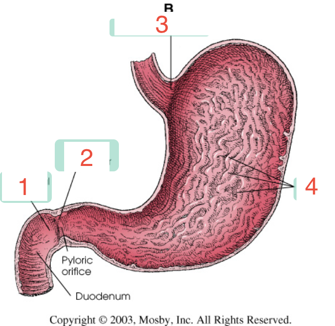 <p>2? </p>