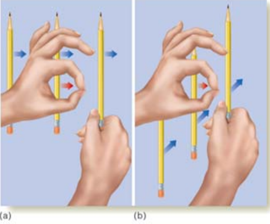 <p>Aperture Problem</p>