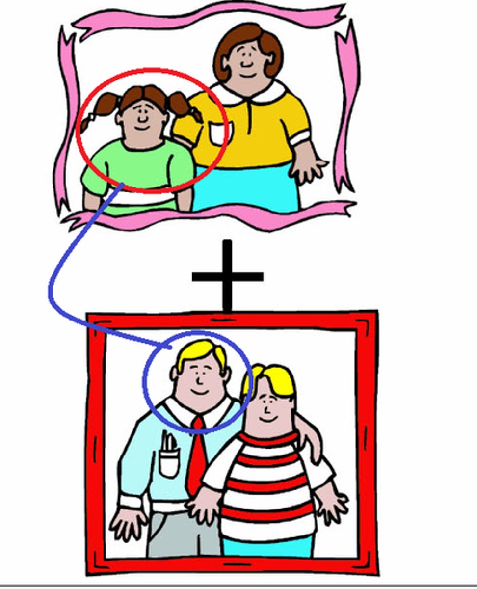 <p>stepfather</p>