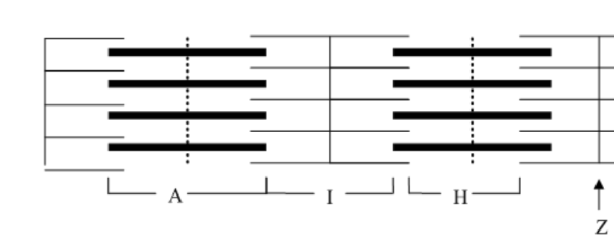 <p>A band</p>