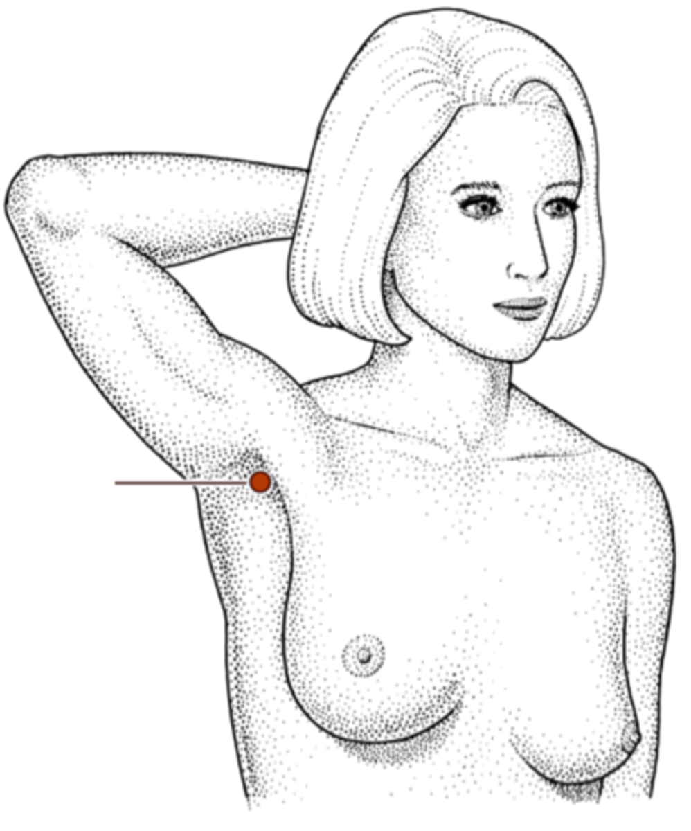 <p>What is this pointing to?</p>