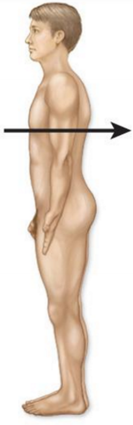<p>What is this directional terminology? What is another name for it?</p>