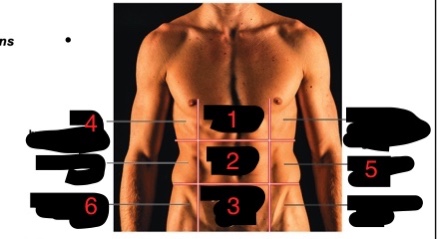 <p>name the six numbered abdominopelvic regions</p>