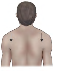 <p>Movement term </p>