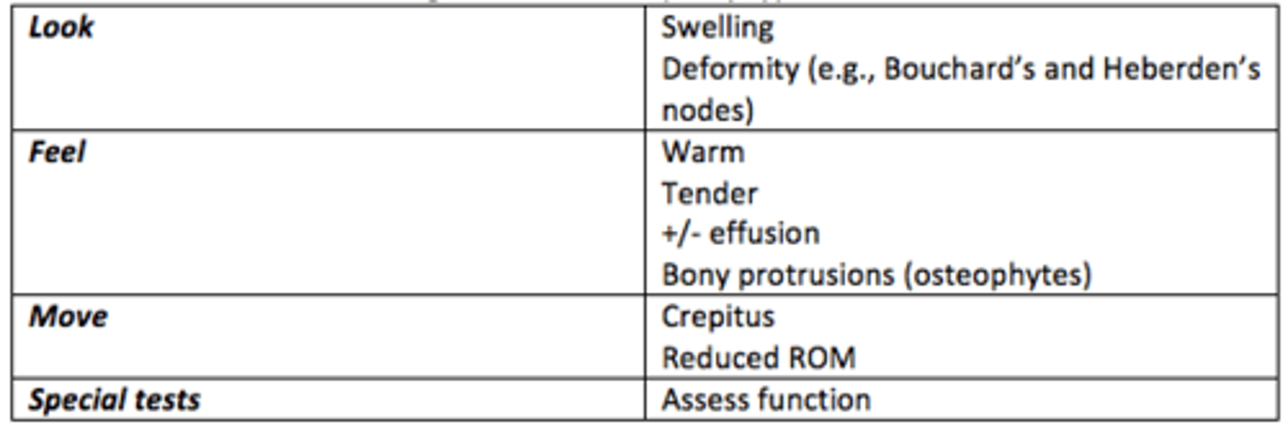 <p>- Pain at end of day</p><p>- Older people</p><p>- Crepitus</p><p>- ↓ ROM</p><p>- Morning stiffness only lasts <30 min</p><p>- Bouchard and Heberden nodes</p>