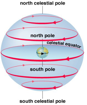 <ul><li><p>As the Earth rotates, the sky appears to us to rotate in the opposite direction.</p></li><li><p>The sky appears to rotate around the N (or S) celestial poles.</p></li><li><p>If you are standing at the poles, nothing rises or sets.</p></li><li><p>If you are standing at the equator, everything rises &amp; sets 90 degrees to the horizon.</p></li></ul><p></p>