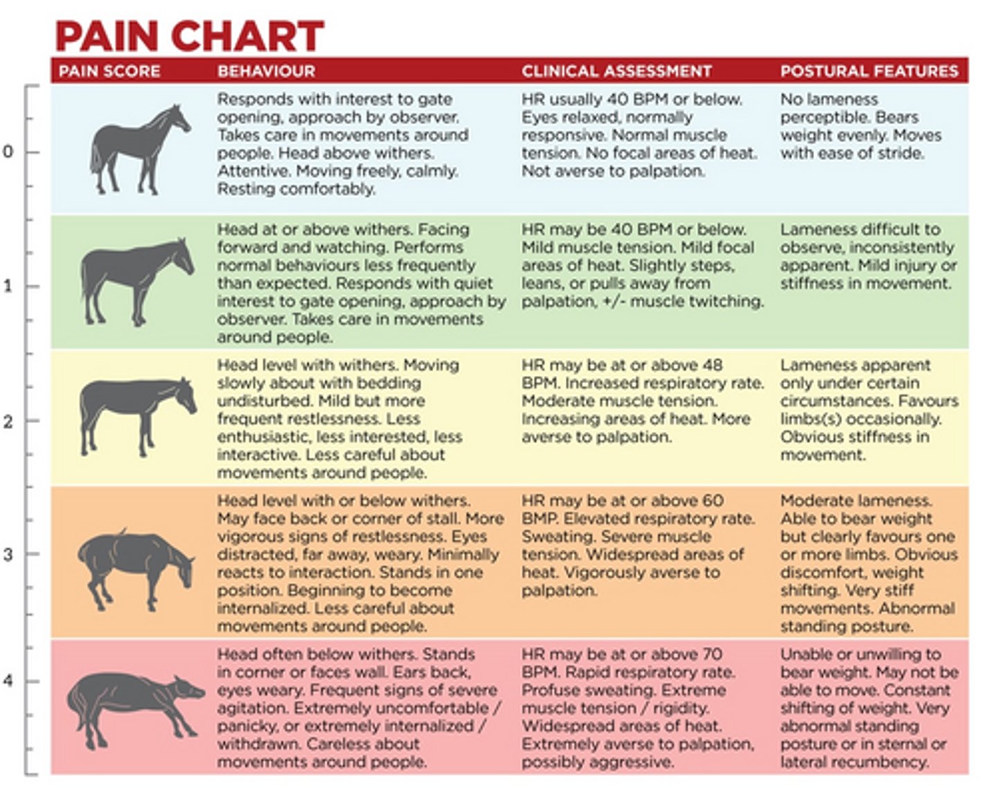 <p>What pain assessment tool is reliable for abdominal and musculoskeletal pain:</p><p>a. visual analog scale</p><p>b. composite pain score</p><p>c. horse grimace space/pain face</p>