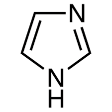 <p>identify the image</p>