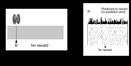 <p>In the second half of paper <strong>Waelti et al 2001 </strong>start new experiment. Example#2</p>