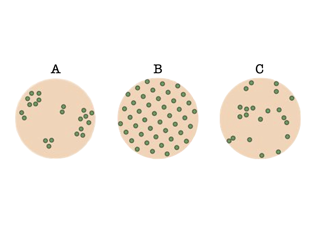 <p><span>Which of the above diagrams shows a population distribution pattern with a variance in population density equal to the mean population density?</span></p>