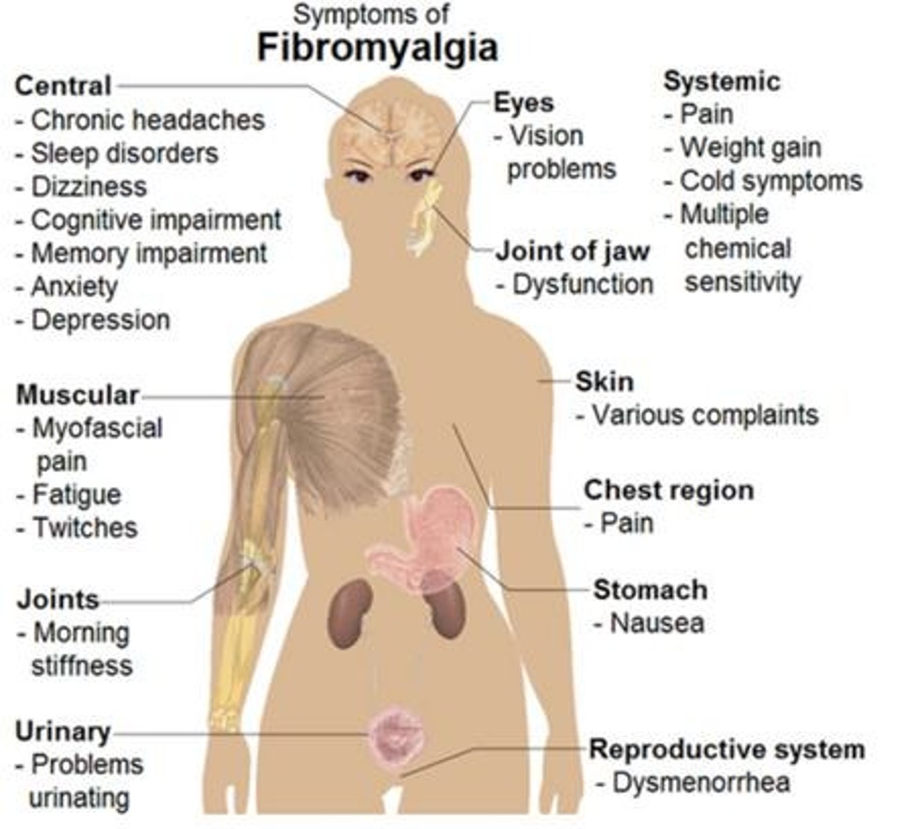 <p>Multidisciplinary, including reassurance, good sleep hygiene, exercise, and cognitive behavioral therapy.</p>