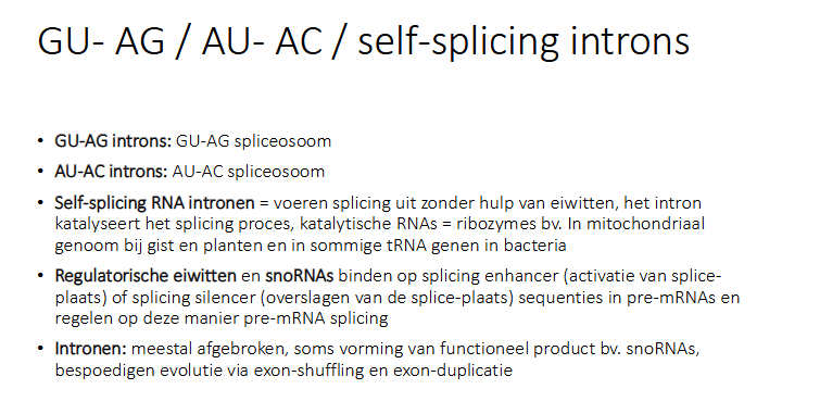 <p>meestal afgebroken, soms vorming van een functioneel product zoals een RNA (bv een sno RNA) of helpen ze bij evolutie (bv via exon shuffling of exon duplicatie)</p>