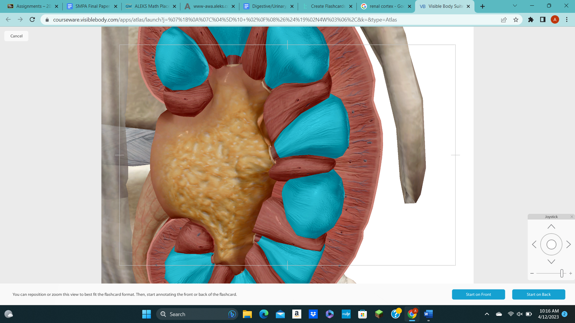 knowt flashcard image