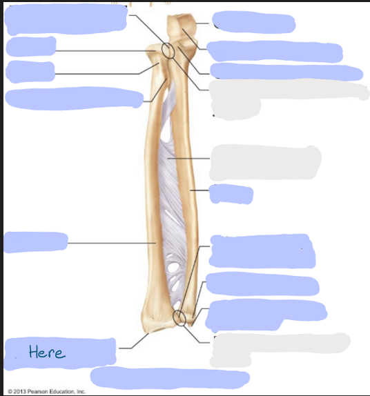 <p>What is here?</p>