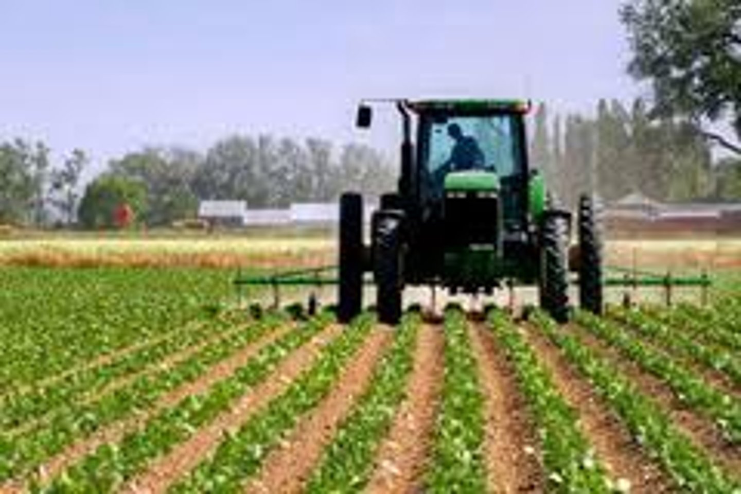 <p>l'agriculture (f.)</p>