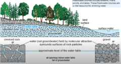 the upper surface of underground water