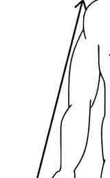 <p>Towards the center of the body</p>