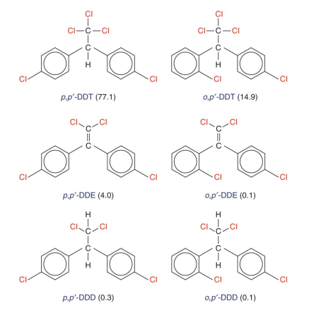 <p>Insecticides that include chlorinated ethane derivatives like DDT, cyclodienes, hexachlorocyclohexanes, and caged structures. </p>
