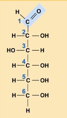 <p>What is this?</p>
